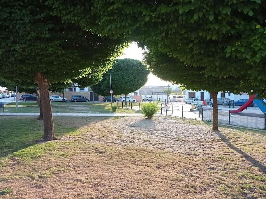Acogedor Loft A 30 Minutos De La Playa Y Montana Apartment Lebrija Spain